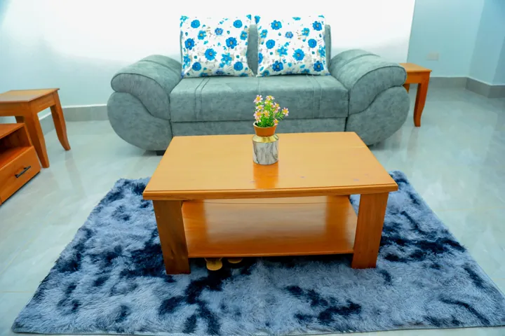 Apartment living room