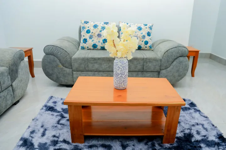 Apartment living room