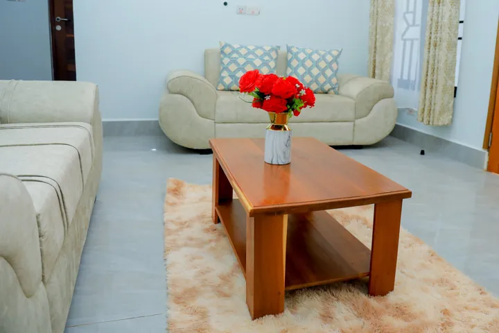 Apartment living room